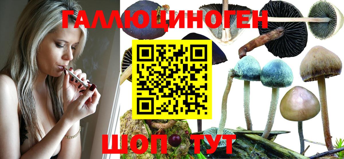 Псилоцибиновые грибы MAGIC MUSHROOMS  Вход с VPN  Галлюциногенные грибы Psilocybine cubensis  Лесной 